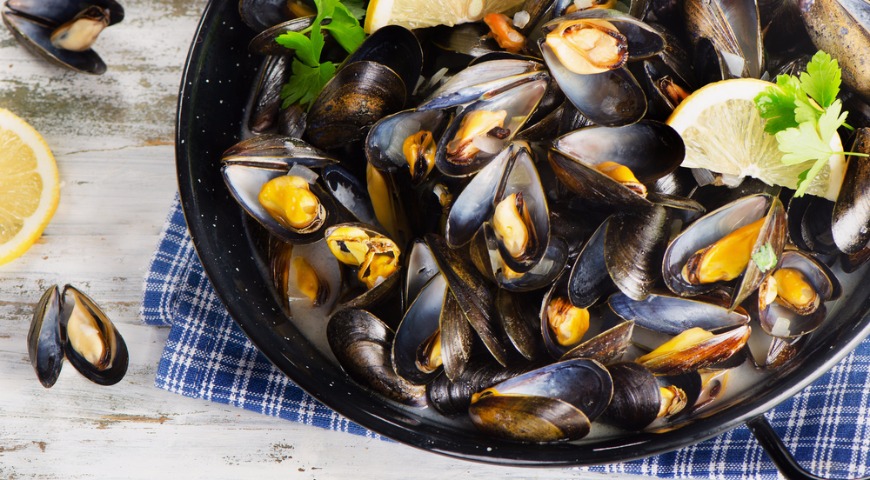 От устриц до рапан - ракушки