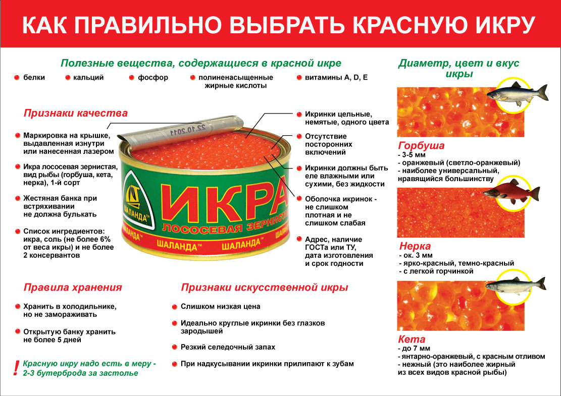 Как правильно выбрать красную икру Как правильно выбрать красную икру