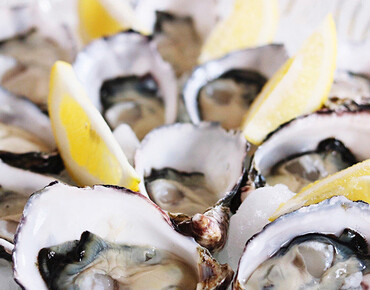 От устриц до рапан - мидии