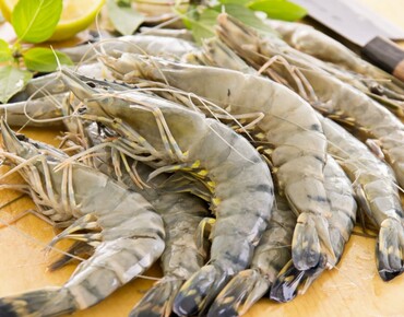 Креветки - такие разные калибры