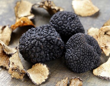 Tartufo - Трюфель