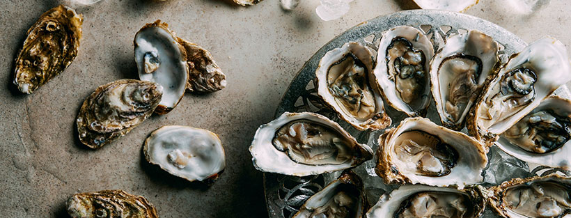 Виды глубоких устриц Виды глубоких устриц