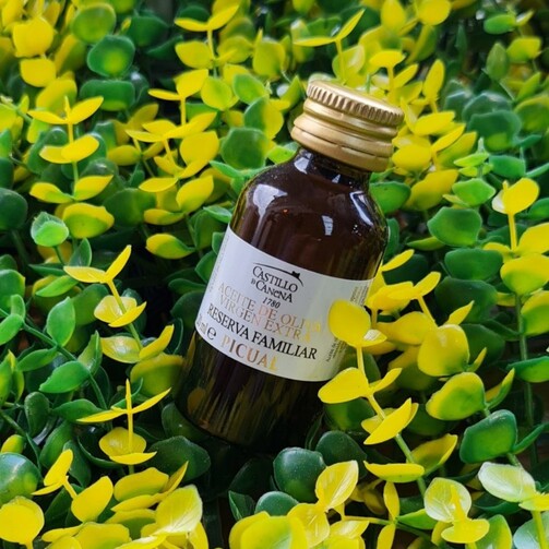 Оливковое масло Семейный Резерв Пикуаль  (арт. 100010103)