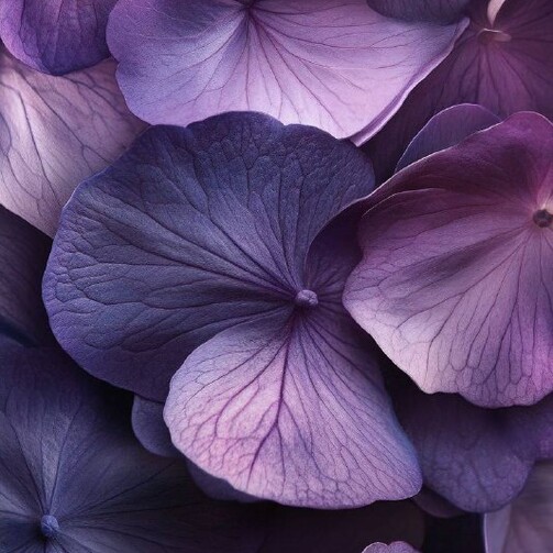 Леденцы засахаренные цветы фиалки (картон. коробка)  (арт. SKU113)