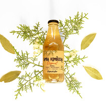 Безалкогольный газированный напиток Самба Камбуча Классик