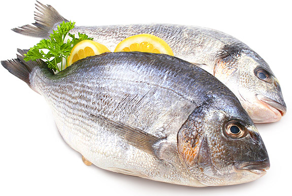 Что лучше - культивированная или дикая рыба? 