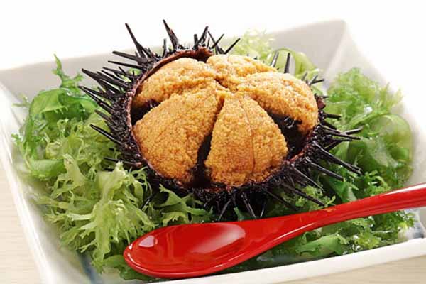 Как употреблять икру морского ежа?