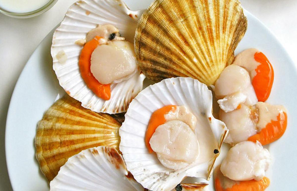 Какого цвета морской гребешок?