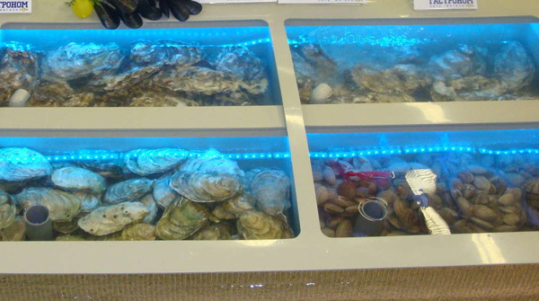 Почему устрицы из аквариума не такие вкусные?