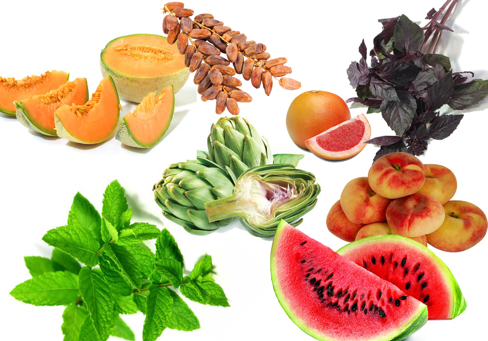 Свежие фрукты, овощи и зелень, съедобные цветы Свежие фрукты, овощи и зелень, съедобные цветы