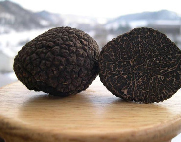 Свежие трюфели!