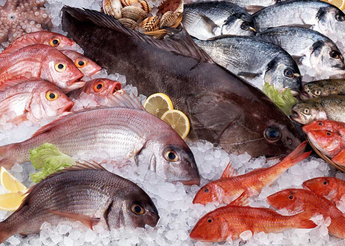 Тропическая рыба на "Мечта Гурмана"