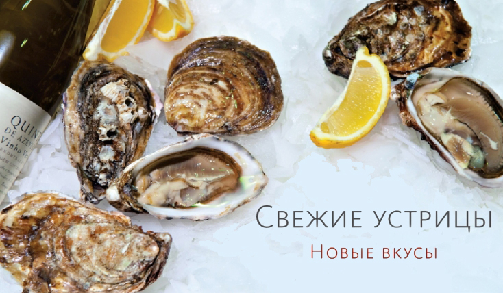 Живые устрицы из Марокко Живые устрицы из Марокко